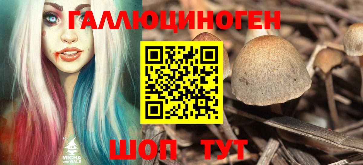 Ленинск-Кузнецкий  Псилоцибиновые грибы GOLDEN TEACHER  Вход с VPN 